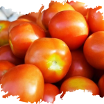Tomatoes Producer & Supplier from Pakistan