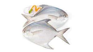 White Pomfret product image