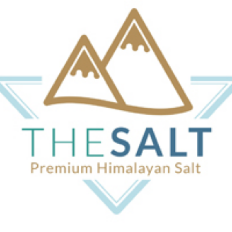 the salt logo